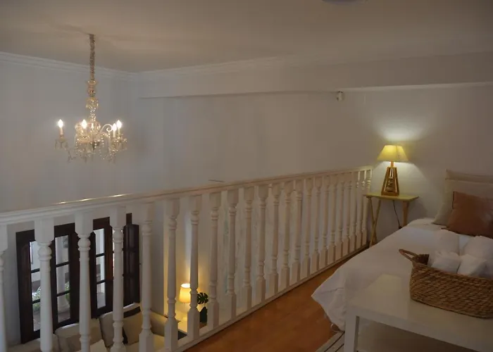 Cool Vailima 2 코르도바