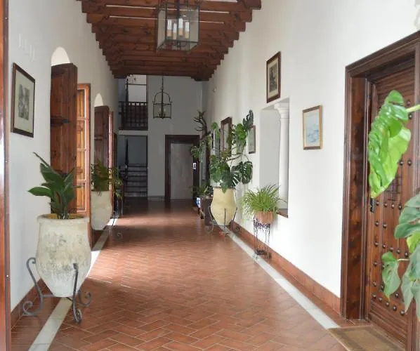 Cool Vailima 2 코르도바