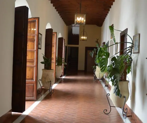 Cool Vailima 2 코르도바