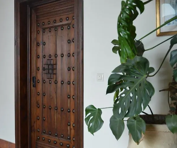 Cool Vailima 2 * Кордова