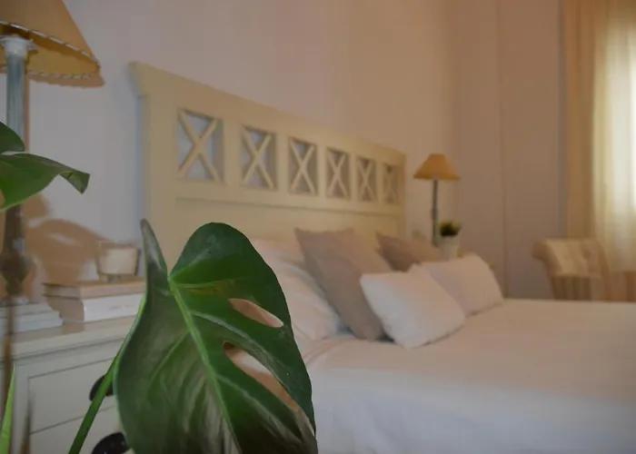 Cool Vailima 2 Κόρδοβα